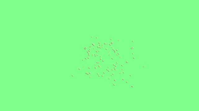 Detailed Macro Shot of a Swarm of Many Mantises Flying and Hovering Midair Together with Elongated Bodies and Powerful Wing Beats on Solid Chroma Key Green Background