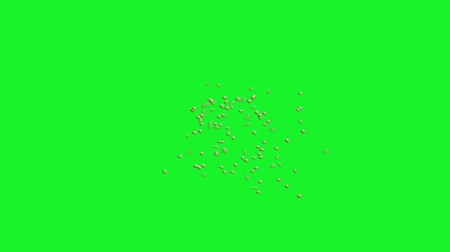 Detailed Macro Shot of a Swarm of Many Yellowjackets Flying and Hovering Midair Together with Aggressive Wing Beats and Bright Striped Bodies on Solid Chroma Key Green Background