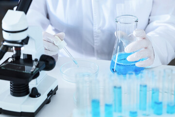 Fototapeta premium Scientist working with blue liquid in laboratory