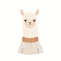 Obraz premium Cute hand drawn llama wearing a warm knitted sweater.