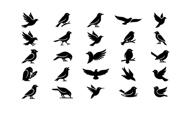 I'm currently working as an Adobe Stock Contributor. I want to create vector illustration image Google ai studio, I want to sell adobe stock illustration vector content. I do special research from var