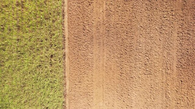 Drone aerial top view dry topsoil plowed supply chain sugar cane field eco farm net zero waste rural plant crop. The way forward asia go green carbon credit neutral ESG SDGs farmer agribusiness land.