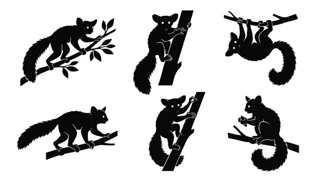 Aye-Aye Silhouette Hanging Upside Down from a Branch