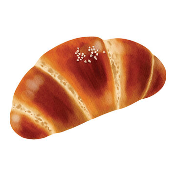 Realistic watercolor illustration of Japanese salt bread, also known as shio pan, also widely known as Korean salt bread or sogeum ppang.