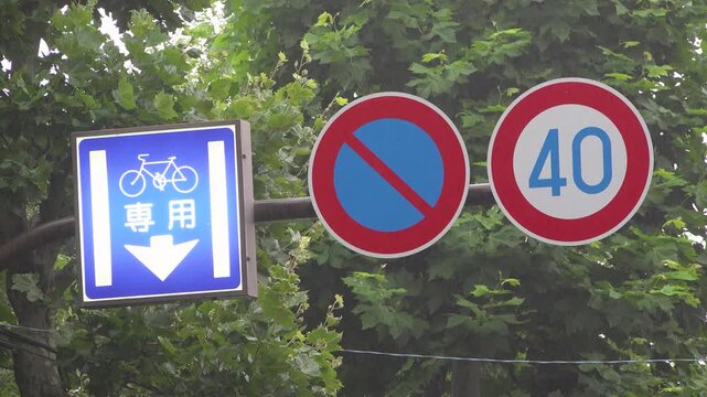 Illuminated bicycle lane sign with no parking and 40 speed limit signs on a light rainy early morning in Japan