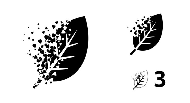 Leaf Dissolving into Particles, Decay and Growth Concept
