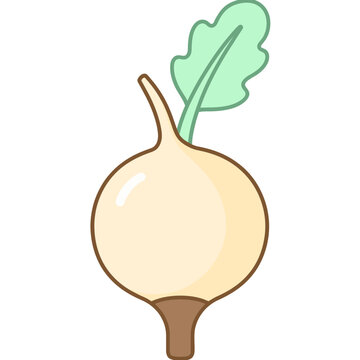 Flat illustration of a kohlrabi with leaf