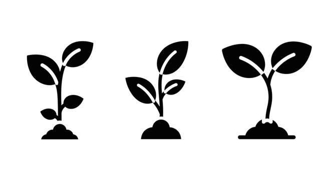 Seedling Growth Stages Icon Set: Sprout, Young Plant, and Growing Sapling