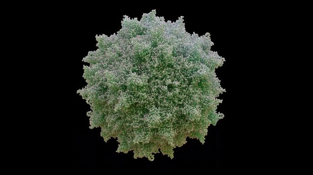 3D AAV1 Adeno-Associated Virus serotype 1 capsid 60-mer Replication-defective Non-pathogenic, Primarily Skeletal Muscle, Heart, and Central Nervous System CNS Delivery LPLD, Muscular Dystrophy Cryo-EM