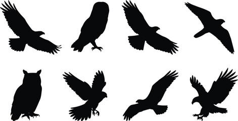 Fototapeta premium Bird of Prey Silhouette Collection with Eight Eagle Falcon Hawk and Owl Wildlife Vector Illustrations