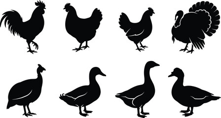 Fototapeta premium Farm Poultry Bird Silhouette Collection Featuring Rooster Hen Chicken Turkey Duck Goose and Guinea Fowl Vector Set