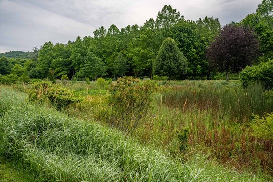 Boone, NC Greenway