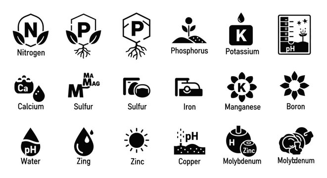 Plant Nutrients Icons: Nitrogen, Phosphorus, Potassium, Calcium, Sulfur, Iron, Zinc