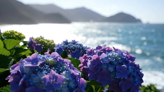 Vibrant blue and purple hydrangea flowers with shallow depth of field swaying in the wind against a scenic backdrop of ocean waves and mountains