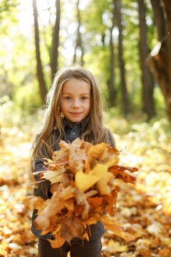 Portrait of a little girl in autumn park posing for a photo