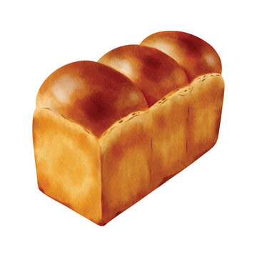 Realistic Watercolor Illustration of Japanese Milk Bread Loaf Isolated on White Background. Ideal for bakery branding, food packaging, menu design, labels, posters, and baking projects.