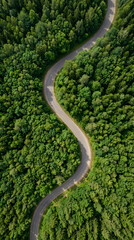 Naklejka premium Aerial View of a Winding Country Road Surrounded by a Dense Lush Green Forest Landscape during a Beautiful Summer Day