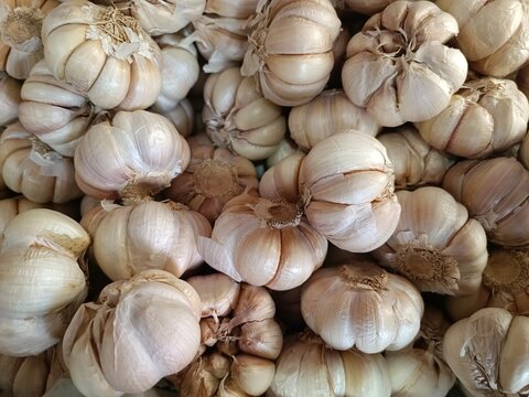 close up whole organic garlic bulbs at local market