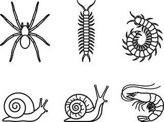 Invertebrate animal outline collection, spider centipede snail and shrimp set, vector illustration design bundle © LatifunNahar