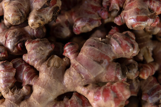 Red ginger