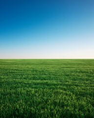 Obraz premium Wide open field under clear sky