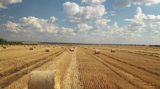 Bales of hay scattered across large agricultural gold field after summer harvest season in rural countryside in 4K Ultra HD footage.
