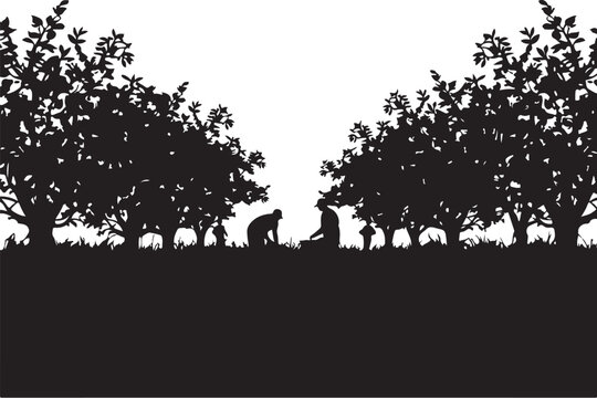 Silhouette of apes and monkeys under trees on white black