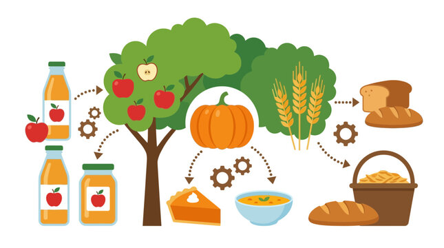 Farm to Table Food Production: Apples, Pumpkins, Wheat, Bread, and Juice
