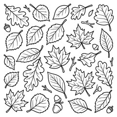 Fototapeta premium Autumn Leaves Collection Outline Vector Set