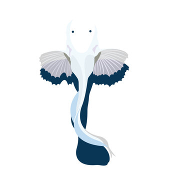 Hadal Snailfish Deep Sea Fish Vector Illustration Isolated on White Background
