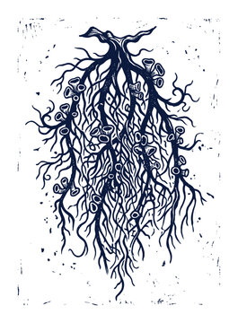 Usnea lichen ink stamp illustration with tangled thallus and cups
