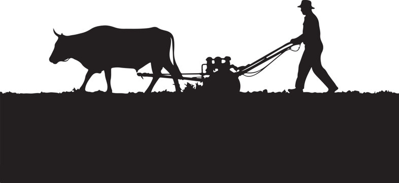 Silhouette of a farmer plowing a field with a bull, tractor