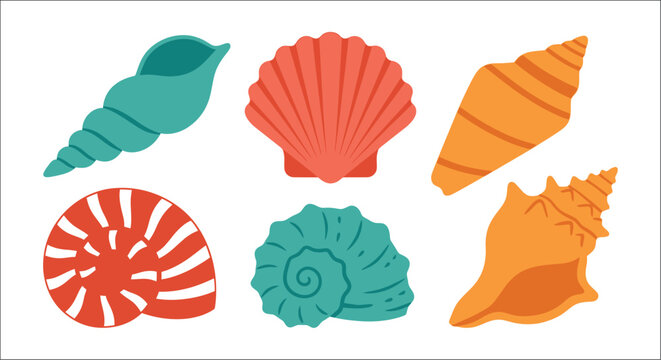 Collection of colorful seashells a vector illustration with a white background shell marine life ocean sea coastal beach nautical shoreline spiral scallop conch whelk sand
