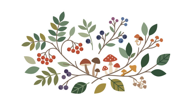 berries mushroom  leaves branche illustration wallpaper