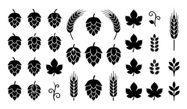 Minimal Black Hop Cone and Wheat Ear Silhouette Vector Bundle on White