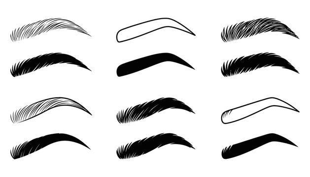 Women's Eyebrow Shapes Collection Featuring Natural, Thick, Arched and Groomed Brow Styles
