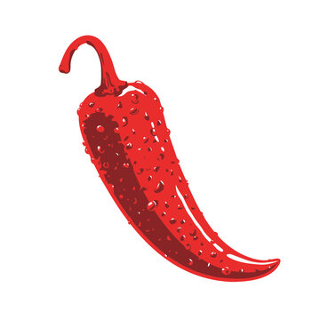 Red chili pepper vector illustration