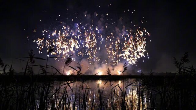 Fireworks explode over water during USA Independence Day celebration at night