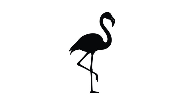 Minimalist flamingo silhouette vector, elegant black tropical bird icon on white background, standing exotic water bird profile for logo design