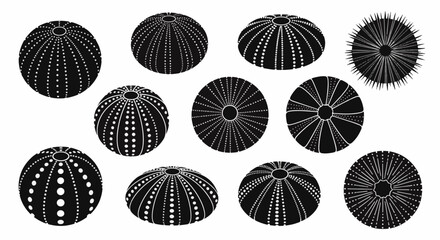 Collection of black and white sea urchin silhouette icons isolated on white background. Various marine echinoid shell patterns including dotted, radial, and spiny skeletal tests.