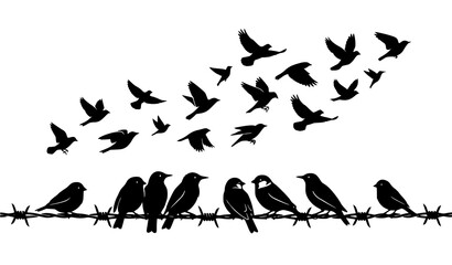 Birds on barbed wire silhouette vector illustration with flying birds and symbolic freedom concept isolated on white background © Md