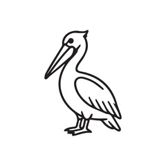 Obraz premium pelican on white background
