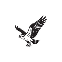 Fototapeta premium osprey silhouette on white background