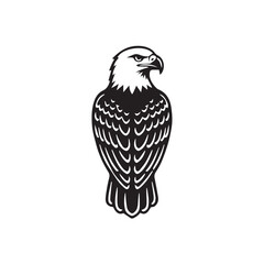 Fototapeta premium eagle on a white background