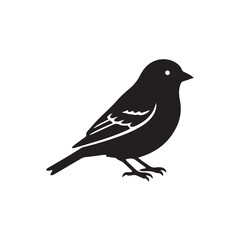 Fototapeta premium bird vector silhouette