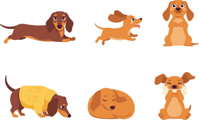Obraz premium Cute Dachshund Dog Character Collection with Playing Sleeping Sitting and Cartoon Puppy Pet Vector Illustration Set