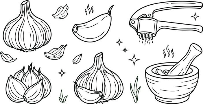 Garlic bulb and clove icon set with metallic press crusher wooden mortar pestle kitchen cooking line art elements