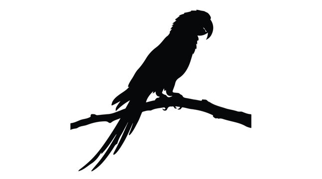 Macaw parrot silhouette on tree branch, tropical bird profile vector, black exotic animal shape isolated on white background for logo design