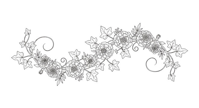Hand-drawn floral line art divider featuring marigold flowers and ivy leaves in a continuous wave pattern, black and white botanical illustration for coloring or border design.