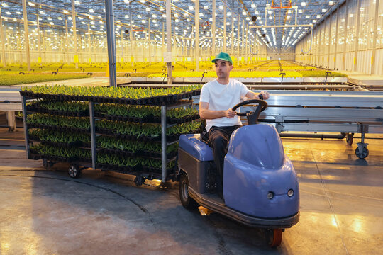 A person uses an electric cart to transport trays of plants in a greenhouse. Bright lights and rows of plants fill the space during the daytime